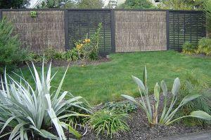 brushstick trellis fencing